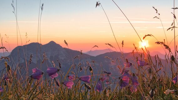 Sonnenaufgang am Unnutz