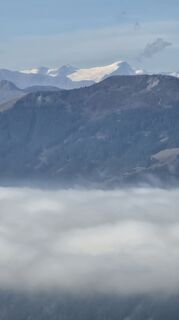 Fotografija s spletne strani Richard Seba na poti