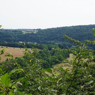 Franzosenlay