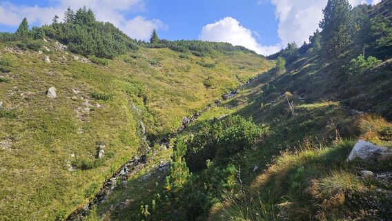 Photo de Francesco Höllbacher le long du parcours