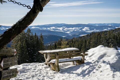 Joglland-Winter-Print-172.jpg