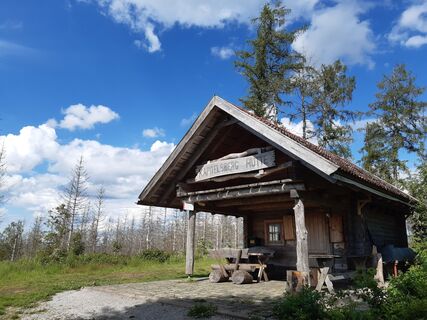 Foto von nordbergschnecke entlang der Tour