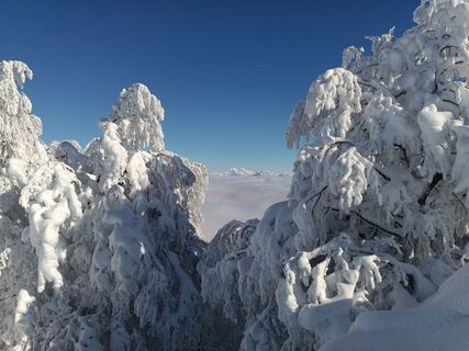 Foto fra Damijan Novak underveis på turen