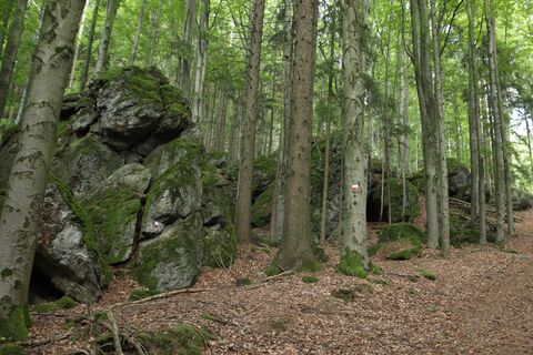 Felsenlabyrinth