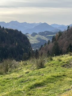 Foto från KlausM under resans gång
