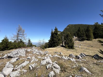 Photo de RS le long du parcours