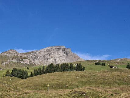 Photo de Michael Putz le long du parcours
