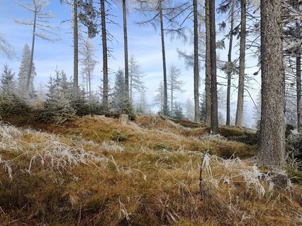 Fotografija s spletne strani Lena Eder na poti