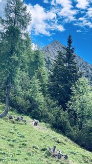 Foto von DaGeorg entlang der Tour