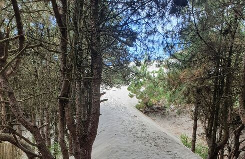 Wanderung Les Crocs