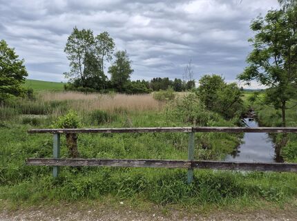 Foto de Alexandra Schmuck a lo largo del recorrido