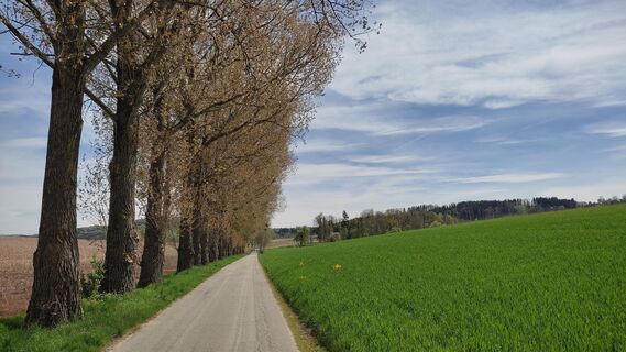 Foto von WilliSt entlang der Tour