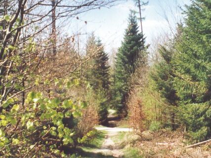 Leichte Wanderung ohne grossen Steigungen