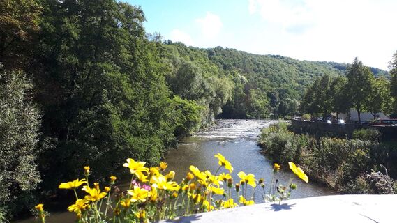 Der Glan bei Meisenheim