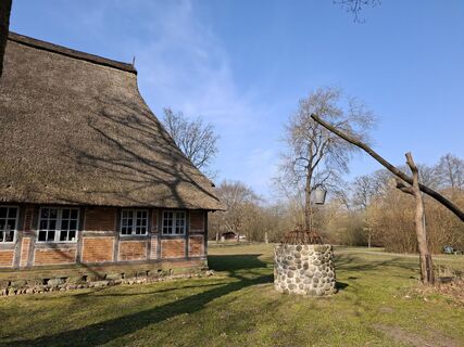 Foto von nordbergschnecke entlang der Tour