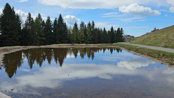 Fotografie z Piero Pozzi na trase