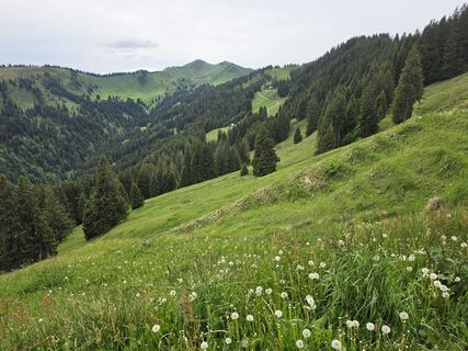 Fotografija s spletne strani Gudrun Lippert na poti