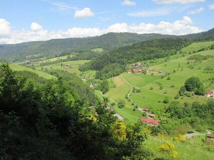 Wunderbare Ausblicke über das Nordrachtal eröffnen sich