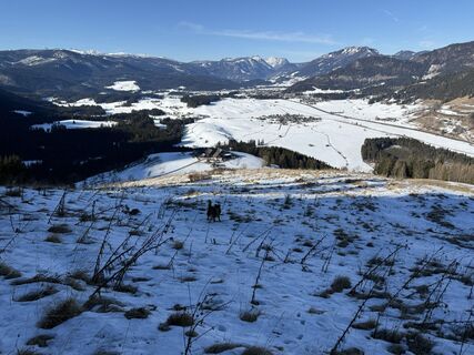 Photo de Wilson Holz le long du parcours