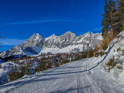 Kurz vor der Brandalm am Skiweg mit Blick auf das Dachsteinmassiv und das darunterliegende Almgebiet