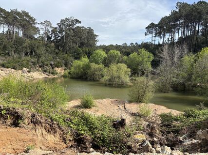 Fotografija s spletne strani Sylvia Sellung na poti