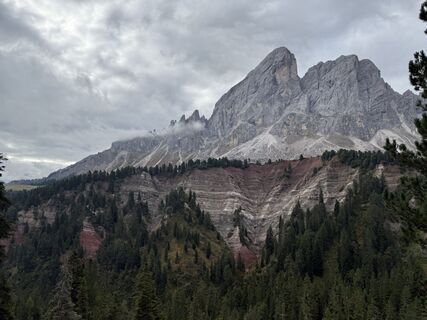 Photo de Frank de Vries le long du parcours