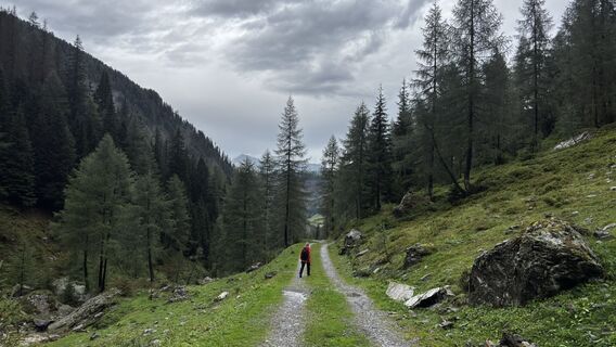 Fotografia z sagal na trase
