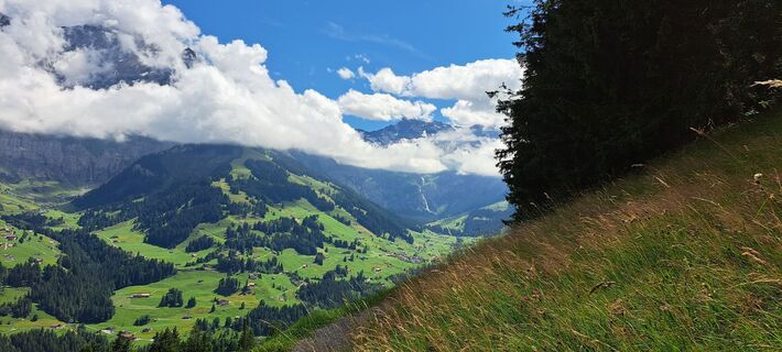 Fotografia z Henny Kroesbergen na trase