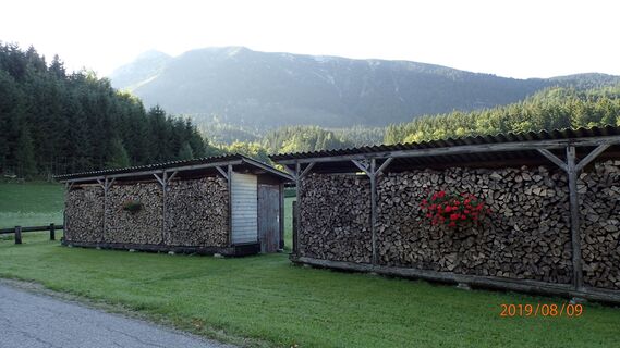 Holstösse mit Blumen bei der Ötscherwiese