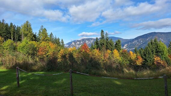 Foto von Herbert Eckelhart entlang der Tour