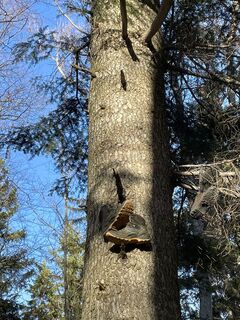 Fotografija s spletne strani Sabine H na poti