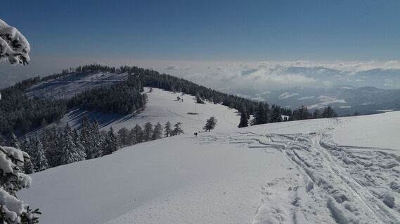Ochsenrunde_Ausblickspunkt Wanderwegkreuzung