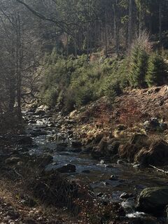 Photo de Gabrielle De Brabanter le long du parcours