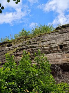 Foto von Angelika Gerung entlang der Tour