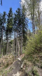 Foto von Maja Mariann Nagy entlang der Tour