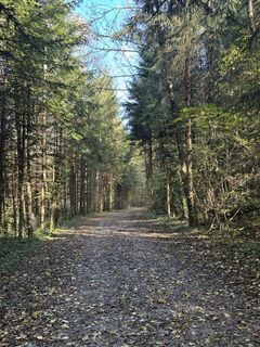 Fotografija s spletne strani Joe E na poti