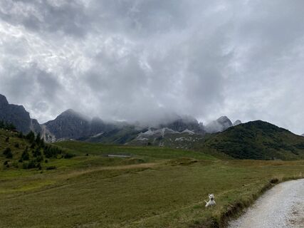 Foto von Markus Muhr entlang der Tour