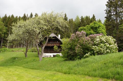 Patscha Gipfel-Runde