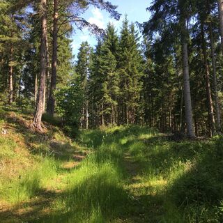 Lassenberg Waldweg