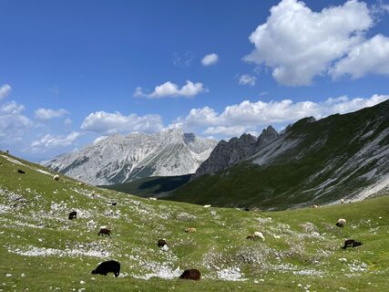 Karte