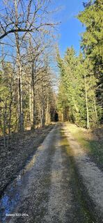 Photo de Urs Thoeny le long du parcours