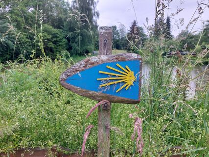 Jakobsmuschel Markierungszeichen