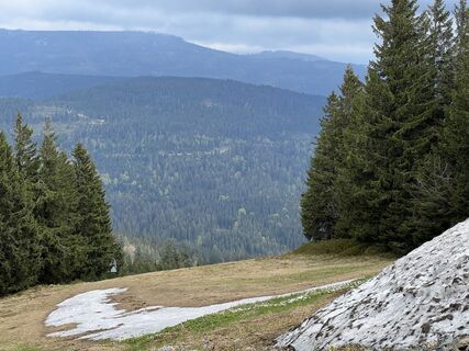 Fotografie de la Volki F. de-a lungul turului