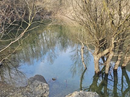 Foto von Margit19721 entlang der Tour