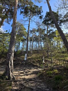 Photo de Noreen (NoKe) le long du parcours