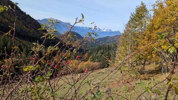Photo de Ziegler Em1304 le long du parcours