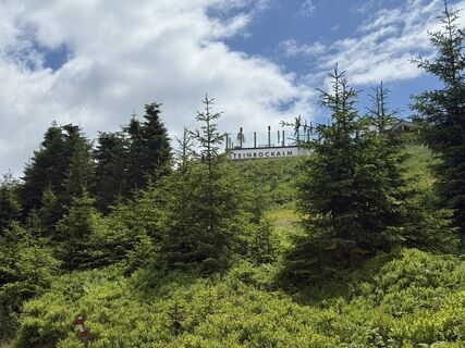 Foto von Maria Lattacher entlang der Tour