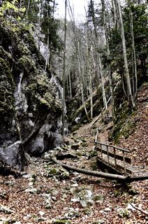 Foto de Kellner Heidi a lo largo del recorrido