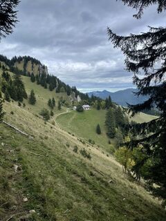 Foto från Werner Felten under resans gång