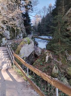 Fotografia z Woiwode na trase